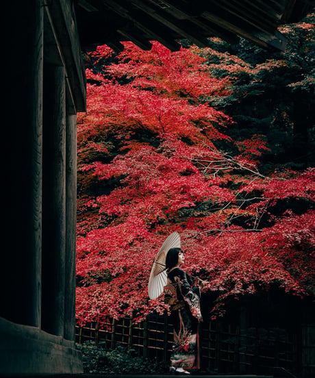 【 Limited Edition 】nabecam_14_LYCORIS