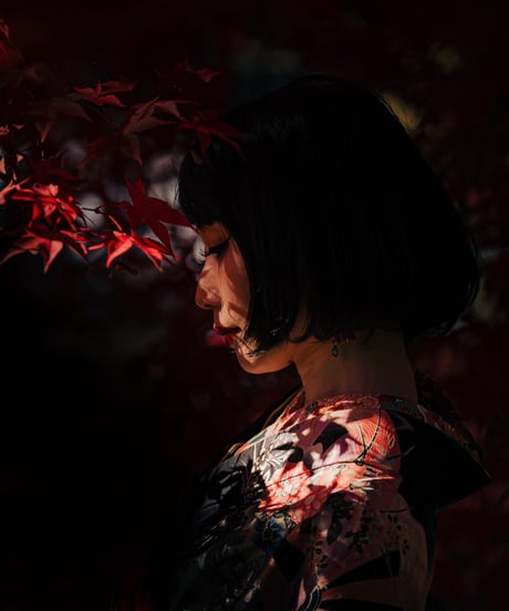 【 Limited Edition 】nabecam_14_LYCORIS