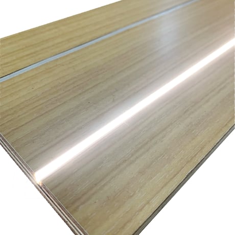 Bartolacci LED ライトガイド・ウィング付 10ｍ