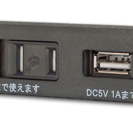 USB端子付き・100V 2口コンセント（埋込みタイプ）
