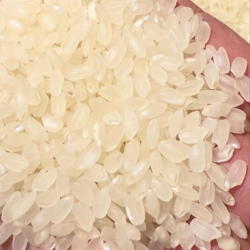 旧品種ハツシモ 30kg | SUN AND NORF's STORE