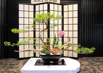 四海波 （上） 銅器 上焼色 | 花器華道具専門店 からこやネット
