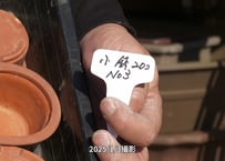 小鉢セットNo.3