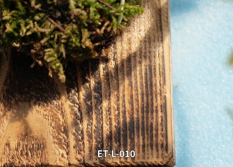 【Den.ロディゲシー板付け】ET-L-010