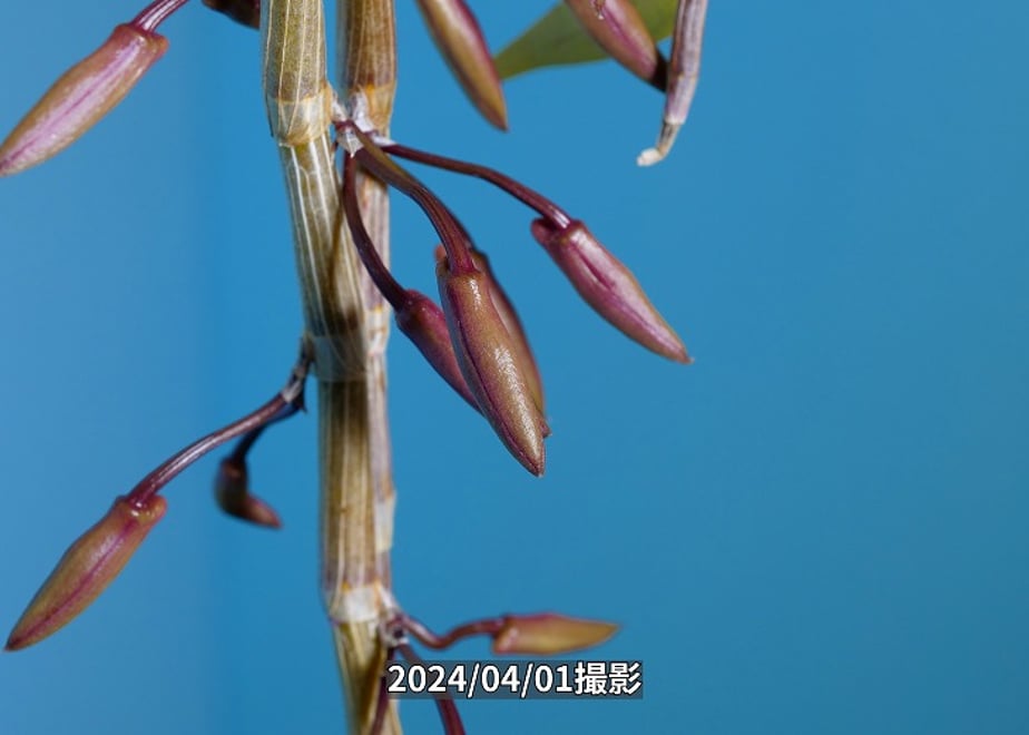 660a4645f325fc055739104f