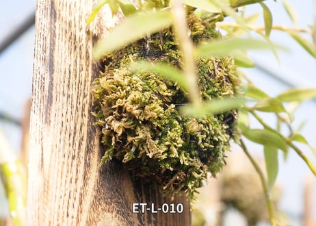 【Den.ロディゲシー板付け】ET-L-010