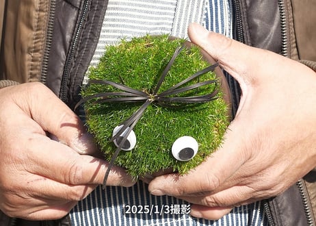 もふもふ君　No.4