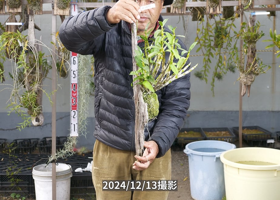 675fe9e324fa0304bfc80ca2
