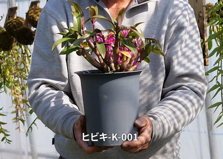 65bb1b39b8d72e002eabc014