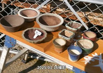 小鉢セットNo.14