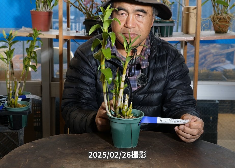 67c3dfd0ff119b0f0938ff86