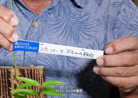 25-10-05　アフィルム板付け