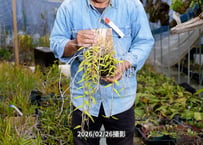 12-25-11-03　アフィルム板付け