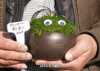 もふもふ君　No.3