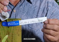 25-10-01　パリシー板付け