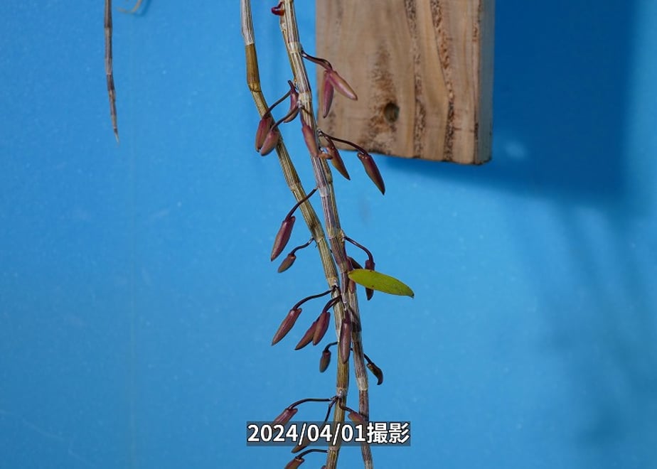 660a4645f325fc055739104f