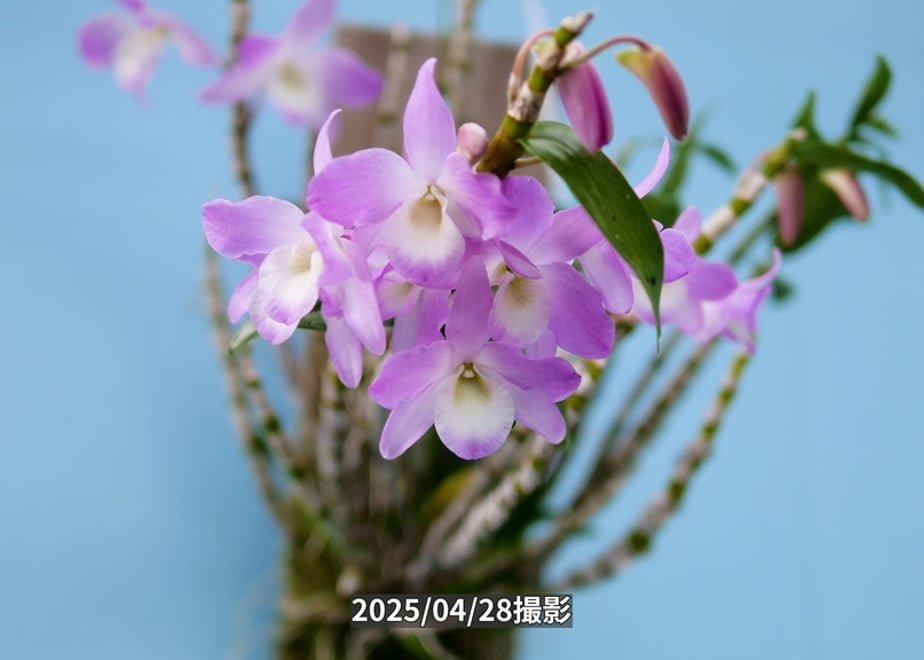69a254e33e0c06c12e6a09f2