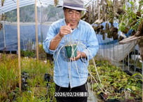 25-11-09　アフィルムスリット