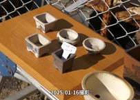 小鉢セットNo.19
