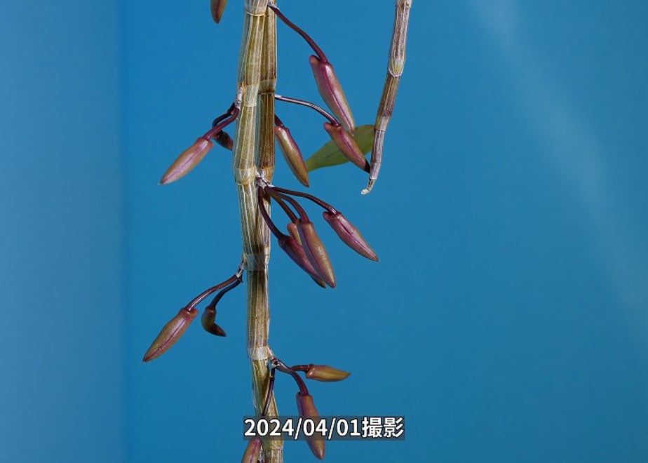 660a4645f325fc055739104f