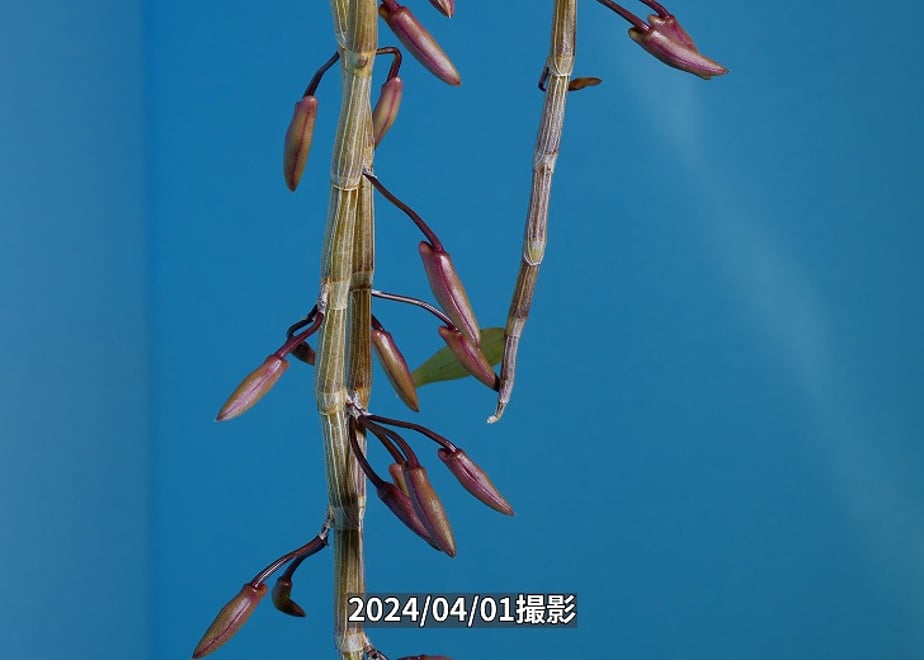 660a4645f325fc055739104f