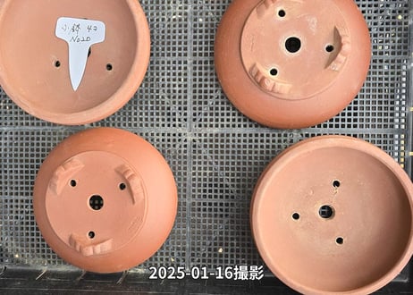 小鉢セットNo.20