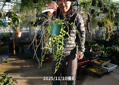 25-11-11　アフィルムスリット