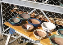 小鉢セットNo.17