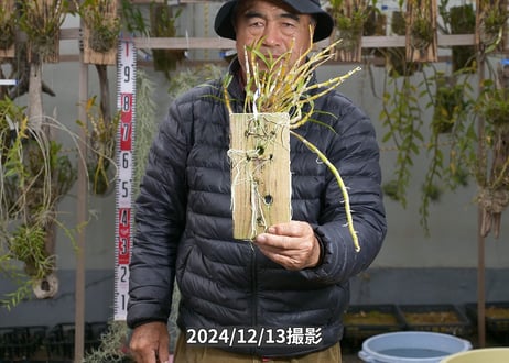 24-12-GD-板付-11