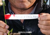 25-11-05　アフィルム板付け