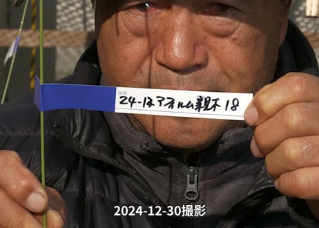24-12-アフィラム親木-18