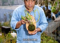 25-10-01　ハマナレイクプリズム・サーフウッド