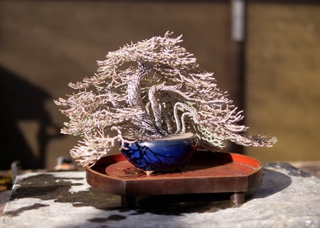 CATEGORY 讃松園 | くるから村