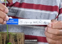 25-10-04　ロディゲシー板付け