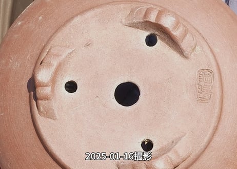 小鉢セットNo.20