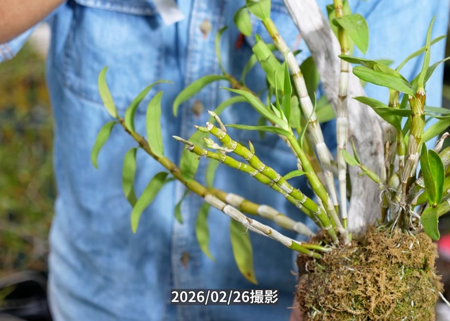 69a2d3a357ef723ec526a441