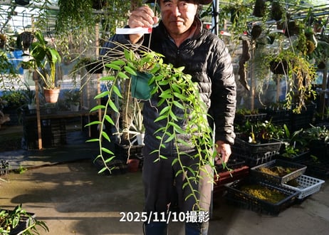 25-11-11　アフィルムスリット