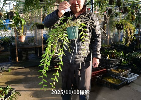 25-11-11　アフィルムスリット