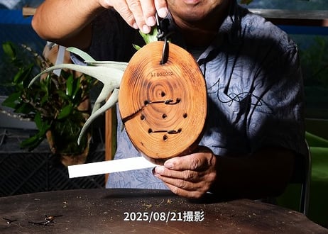 【ベイチーサーフウッド付け】25-08-1