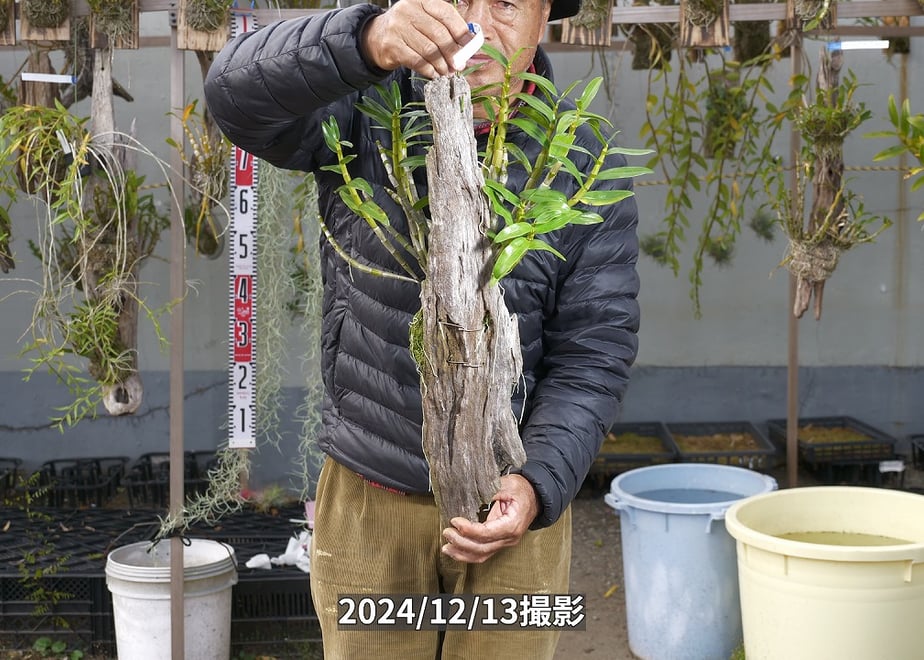 675fe9e324fa0304bfc80ca2