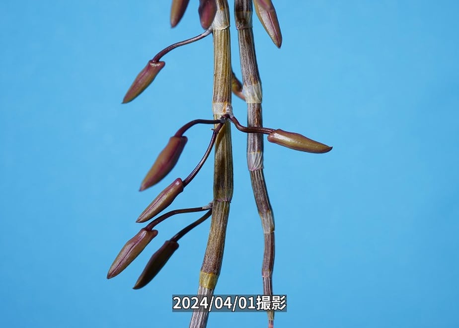 660a4645f325fc055739104f