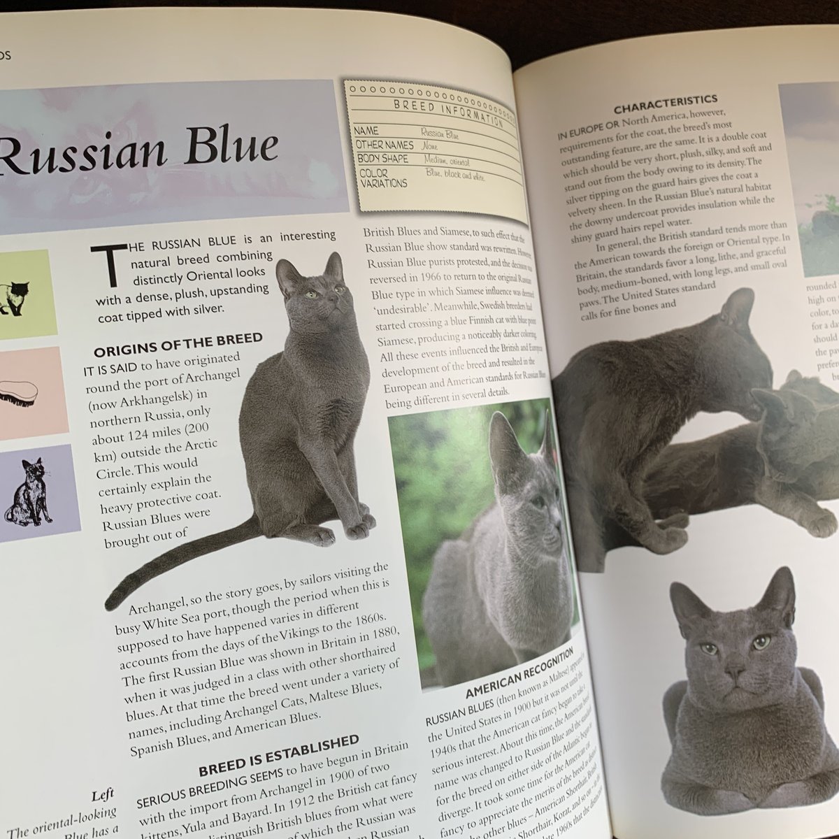 fit=scale-down,w=1200