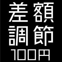 【オプション】差額調節 100円