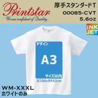 【最大プリント】Printstar プリントスター　厚手スタンダードT 00085-CVT 【本体代+プリント代】