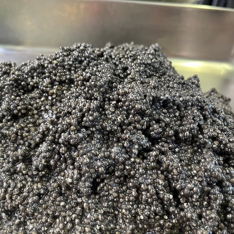 小江戸CAVIAR（premium）