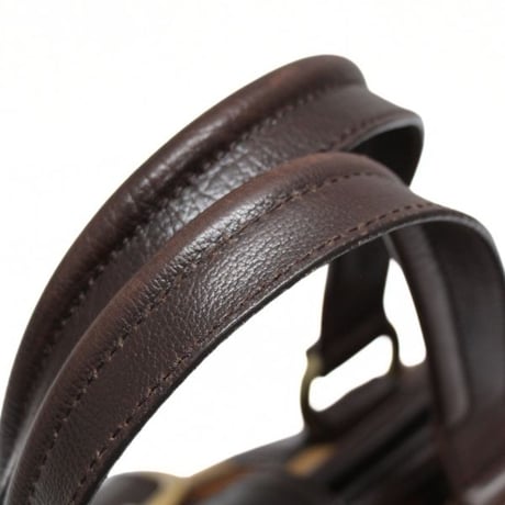 CELINE Ella Frame Satchel Bag Ponyhair Leather Brown #74683