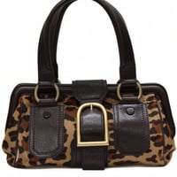 CELINE Ella Frame Satchel Bag Ponyhair Leather Brown #74683