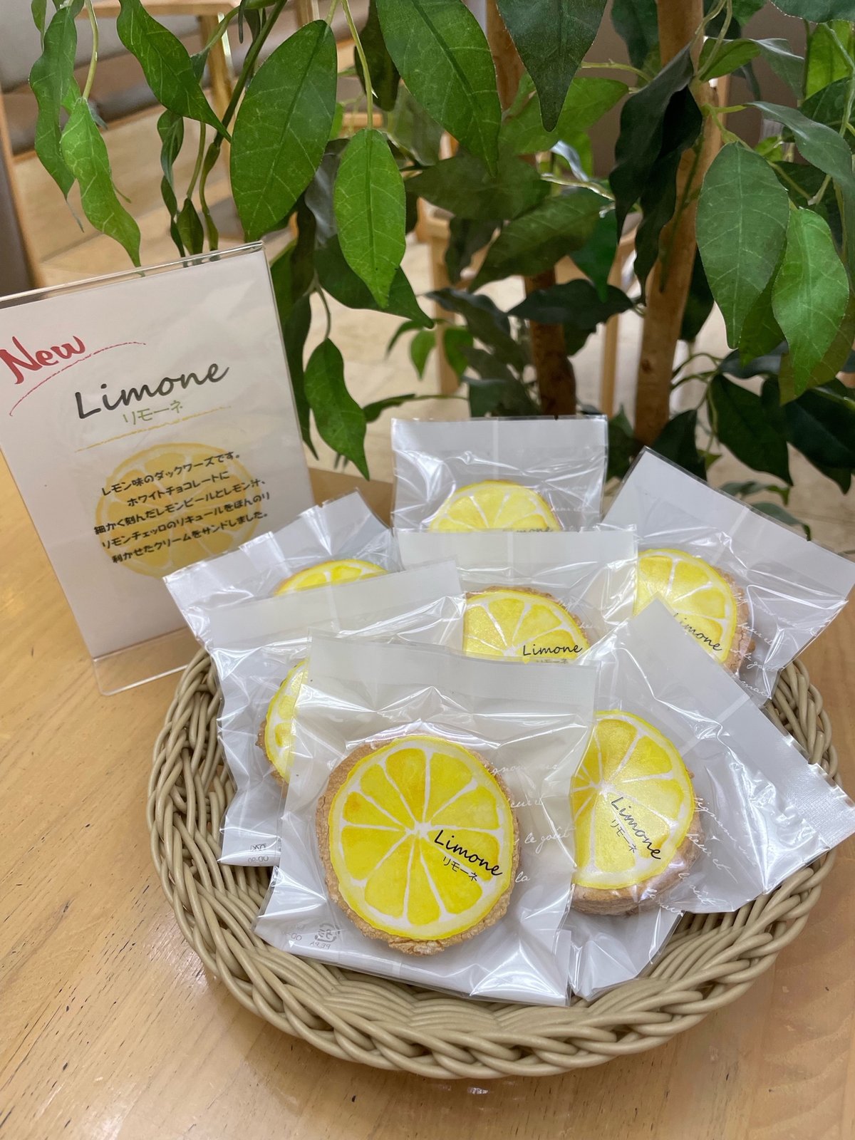 Lemon & Ginger けんたろう　5周年記念品 Lemon & Ginger けんたろう 5周年記念品 楽器・機材 - G-PARTNER