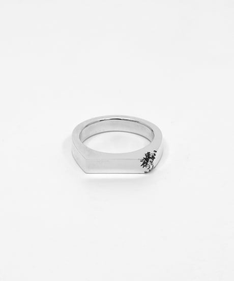 Crack ring 05
