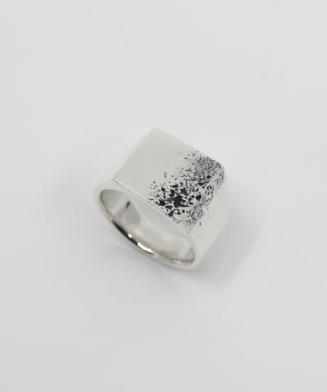 Crack ring 03